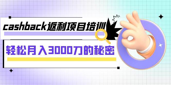 cashback返利项目培训：轻松月入3000刀的秘密（8节课）-文言网创