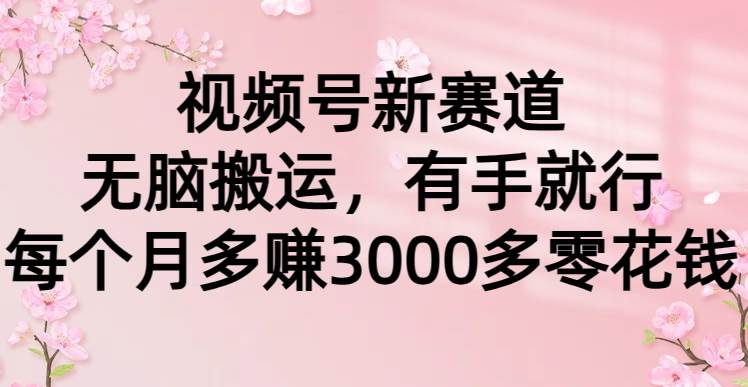 视频号新赛道，无脑搬运，有手就行，每个月多赚3000多零花钱-文言网创