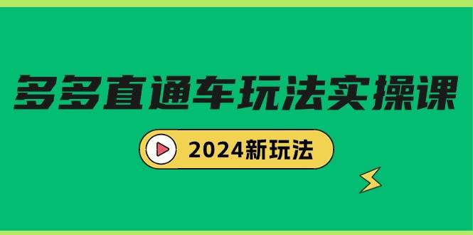 多多直通车玩法实战课，2024新玩法（7节课）-文言网创