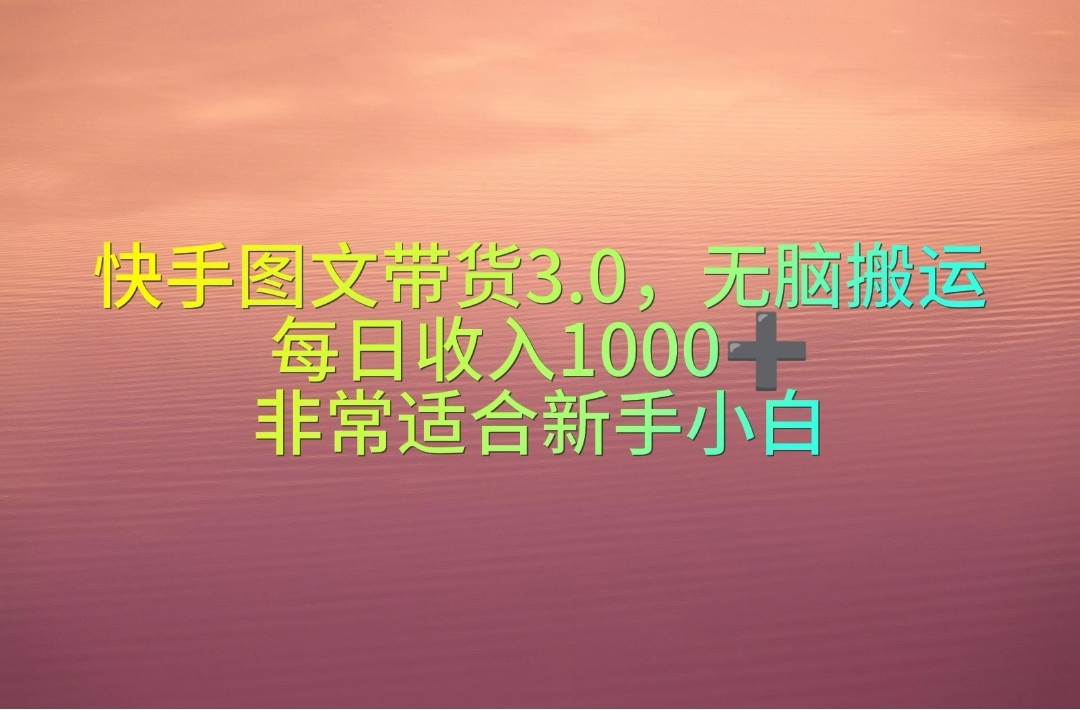 快手图文带货3.0，无脑搬运，每日收入1000＋，非常适合新手小白-文言网创