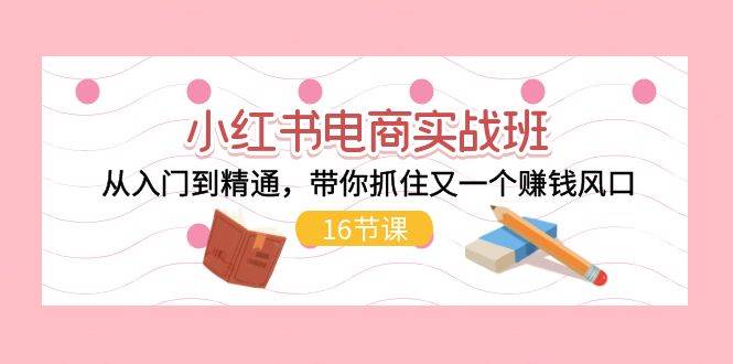 小红书电商实战班，从入门到精通，带你抓住又一个赚钱风口（16节）-文言网创